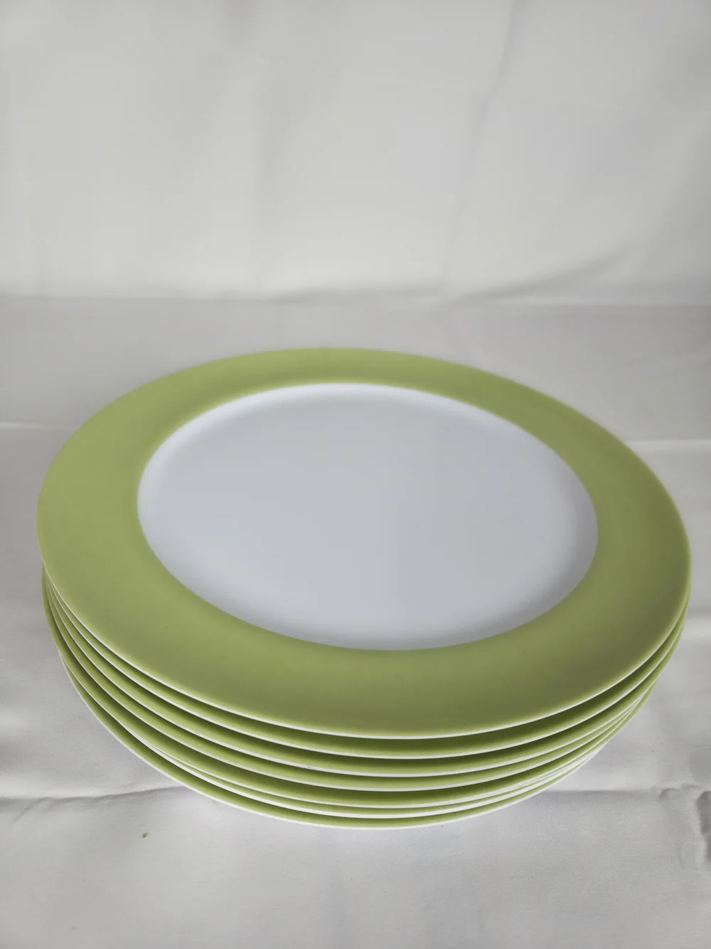 Plastic Picnic Plates 11